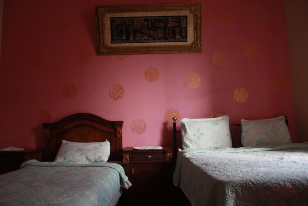 Hola Cairo Hostel Rom bilde