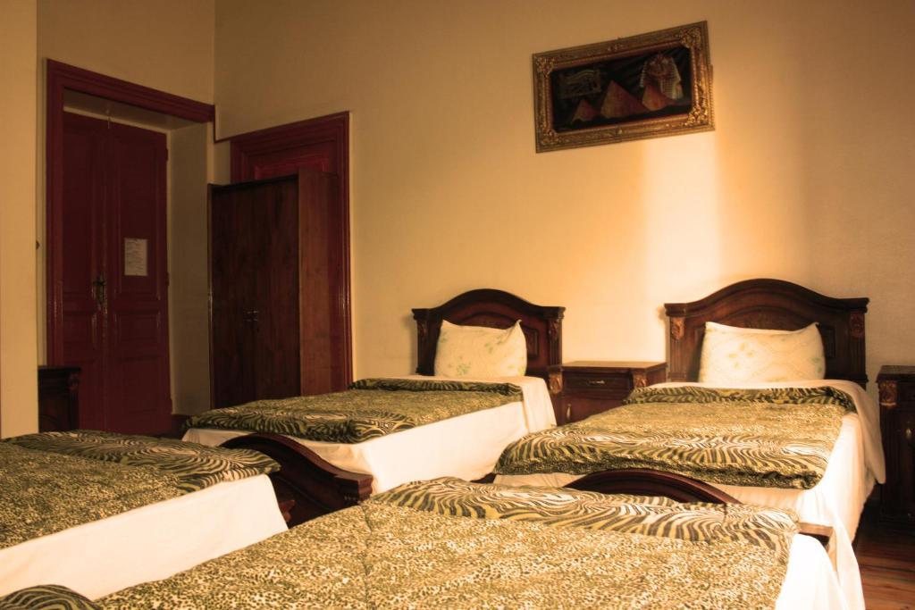 Hola Cairo Hostel Rom bilde
