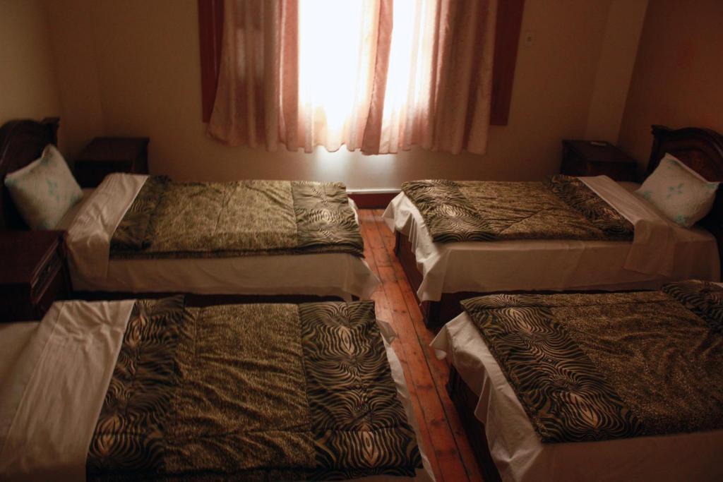 Hola Cairo Hostel Eksteriør bilde